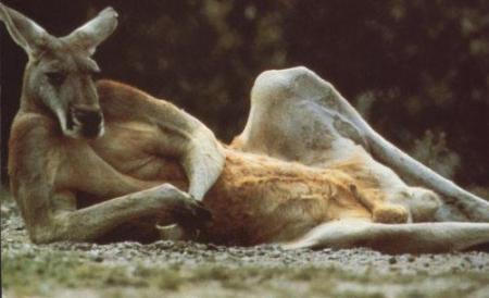 Le repos du guerrier !